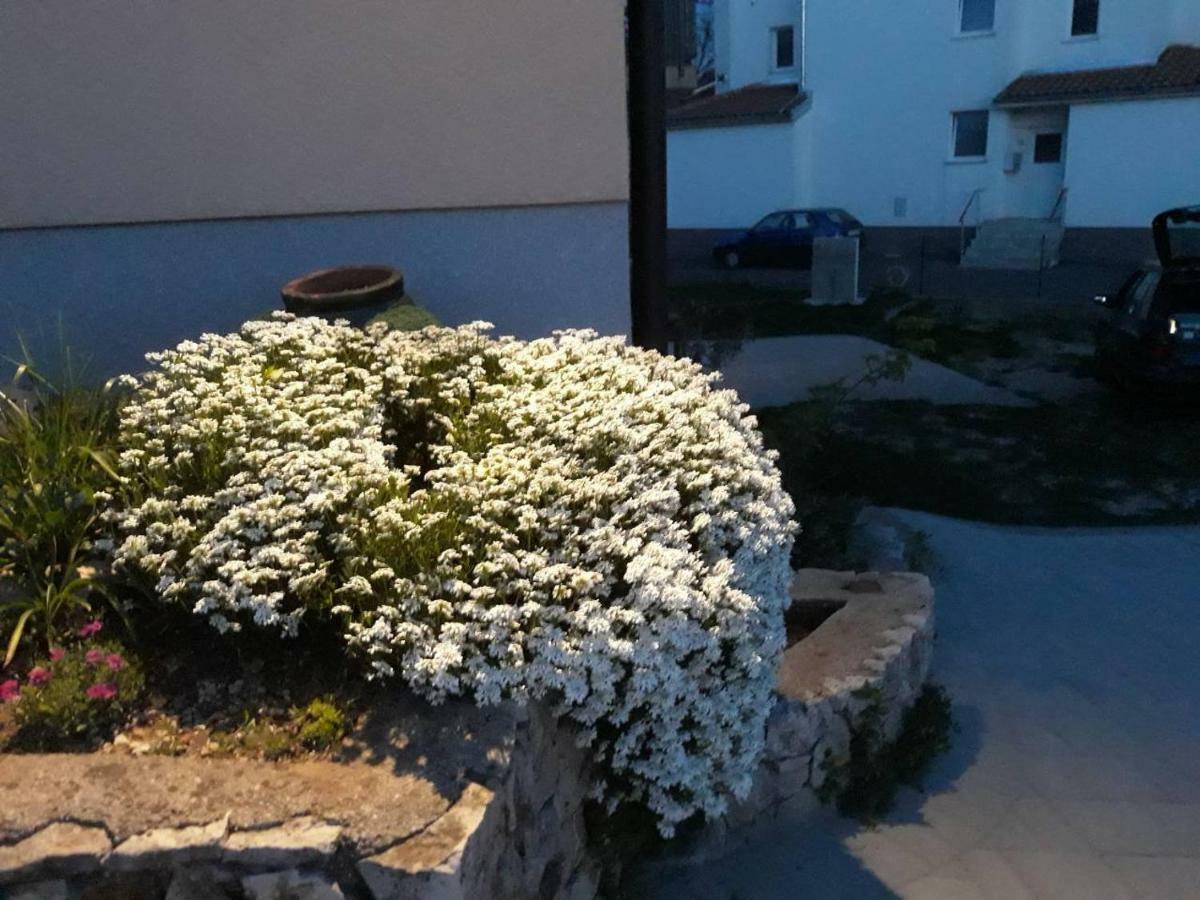 Apartment Viskovo Bagian luar foto